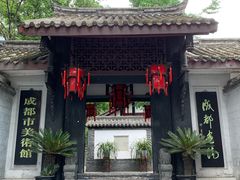 -泡桐树街