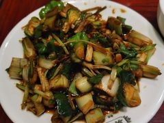 -邵年鸽(杨庄店)