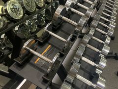 -章鱼健身 Octopus