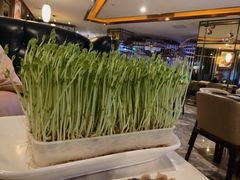 -美姿水荟美食水疗