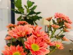 -LB·海菲秀牛奶光官方体验中心