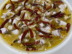 -青花椒花椒鱼(合生汇店)