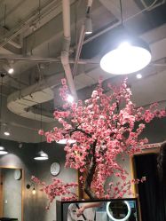 -时尚殿堂明星门店