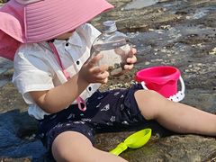 -涠洲岛香蕉鸡
