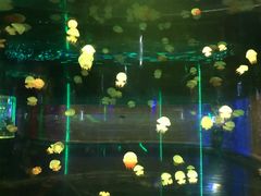 -无锡海洋馆