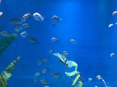 -欢乐海岸海洋奇梦馆