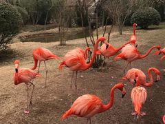 -青岛银沙滩温德姆至尊酒店