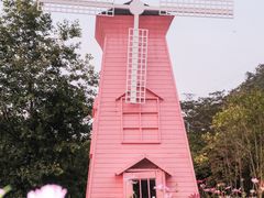-顺峰山公园