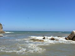 -海驴岛(荣成市)