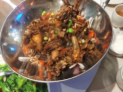 -新概念来凤鱼(璧山店)