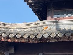 -苏州上方山国家森林公园