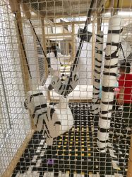 -奈尔宝·儿童乐园·亲子餐厅(苏州大悦城店)