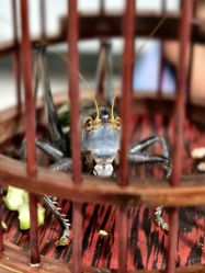 -吾行DIY手工坊(壹方北馆店)