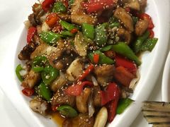 -煲来饱去冷水鱼