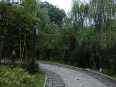 -紫竹院公园冰场