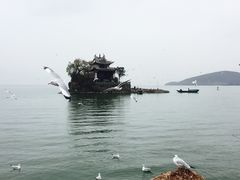 -小普陀