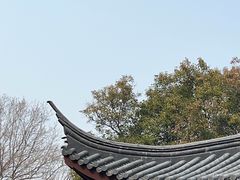 -鸡鸣赐茶(鸡鸣寺路店)