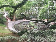 -香港大学