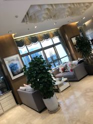 -北京米扬丽格医疗美容·联合丽格鼻整形中心