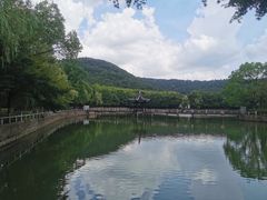 -旺山景区