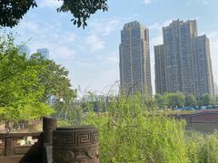 -望江楼公园