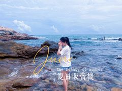 -广东惠东海龟国家级自然保护区