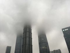 -上海柏悦酒店·世纪100牛排馆