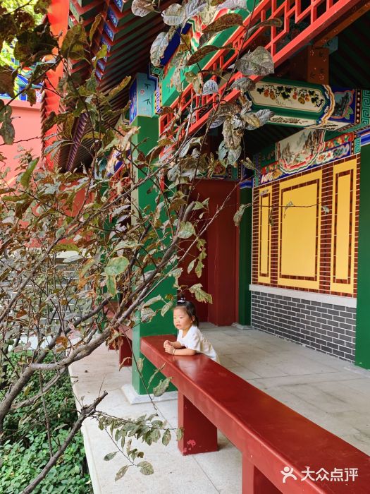 天津妈祖文化园图片