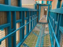 -季高兔窝窝亲子园(上海薰衣草公园店)