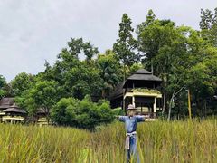 -四季酒店下午茶