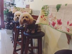 -树洞咖啡(科大店)
