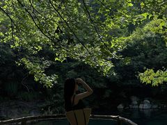 -石台牯牛降景区
