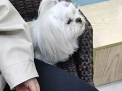 -芭比堂动物医院(广州爱宠下渡路分院)