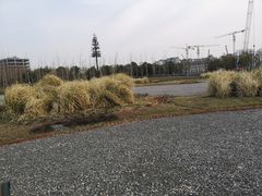 -上海山野camping·户外天幕烧烤·团建拓展营地