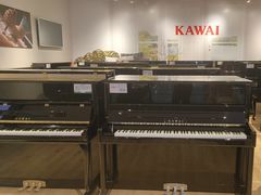 -柏斯音乐艺术中心·钢琴·吉他(世纪金源店)