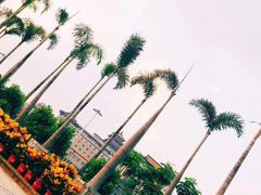 -北京云瑧金陵莲花酒店·莲·川小馆