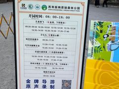 -西双版纳原始森林公园