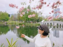 -四海公园(南山区)