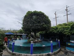 -天怡·鱼工厂(临江店)
