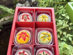 -乾芝斋·苏式糕点·碧螺春茶酥(平江路店)