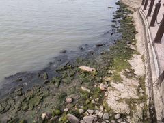 -湖州太湖旅游度假区-月亮广场