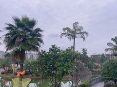 -枫香湖儿童公园