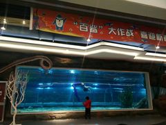 -绍兴梦享海洋公园