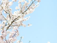 -龙美术馆(西岸馆)