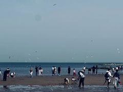 -老虎石海上公园