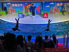 -成都浩海立方海洋公园