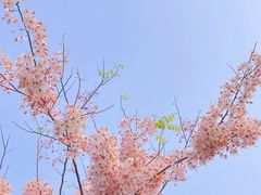 -白石龙音乐公园