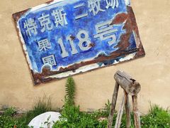 -特克斯八卦城