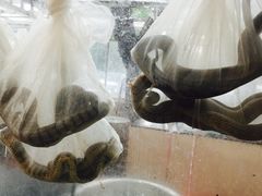 -荔城生鲜盛宴(番禺旗舰店)