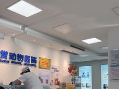 -北京观赏动物医院·24小时大型综合·猫专科·异宠专科
